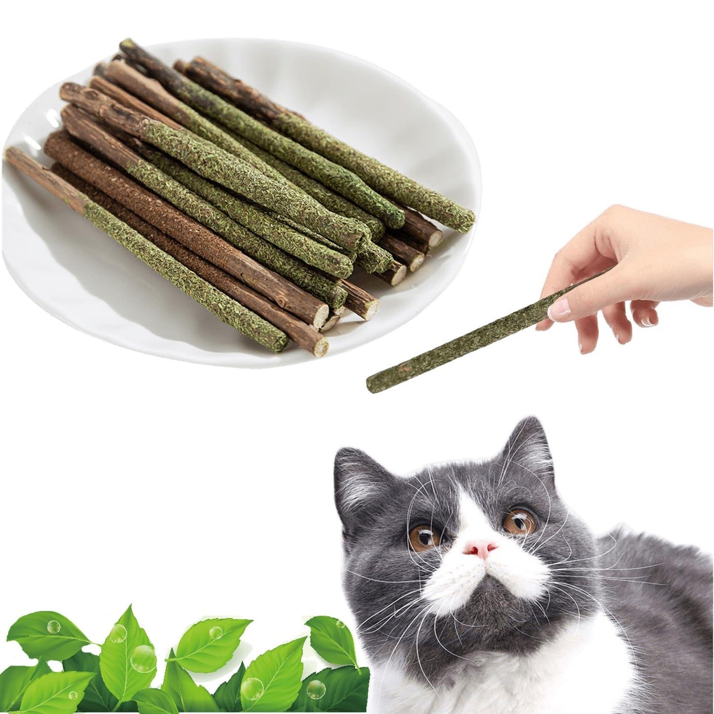 Purrwell Play Sticks | Silvervine + Catnip Chew Sticks, 2 Flavors (20 Pack)